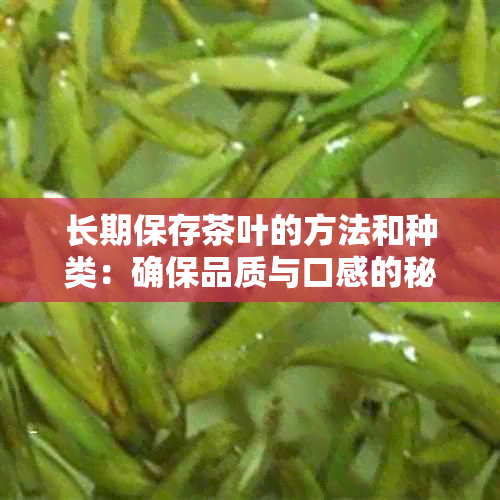 长期保存茶叶的方法和种类：确保品质与口感的秘诀