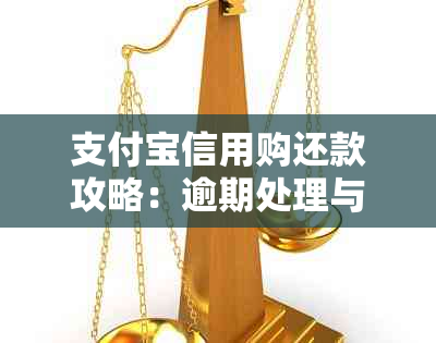 支付宝信用购还款攻略：逾期处理与及时还款全解析