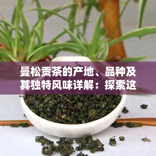 曼松贡茶的产地、品种及其独特风味详解：探索这款藏族传统饮品的文化与品质