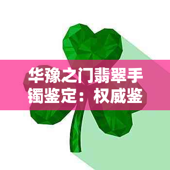 华豫之门翡翠手镯鉴定：权威鉴别，真伪立现！