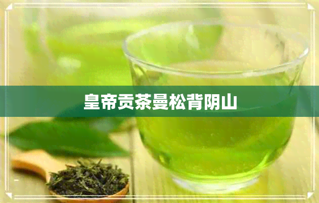 皇帝贡茶曼松背阴山