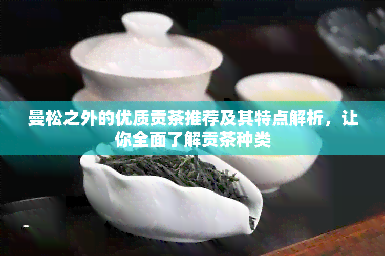 曼松之外的优质贡茶推荐及其特点解析，让你全面了解贡茶种类