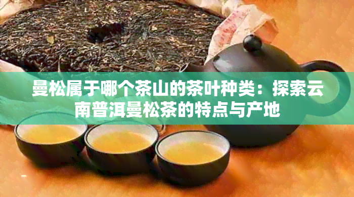 曼松属于哪个茶山的茶叶种类：探索云南普洱曼松茶的特点与产地