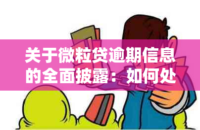 关于微粒贷逾期信息的全面披露：如何处理逾期、公开披露内容及可能影响？