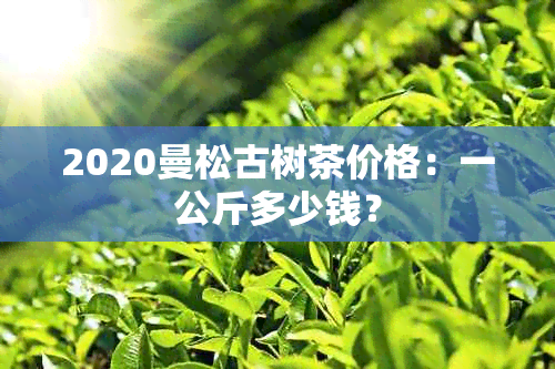 2020曼松古树茶价格：一公斤多少钱？