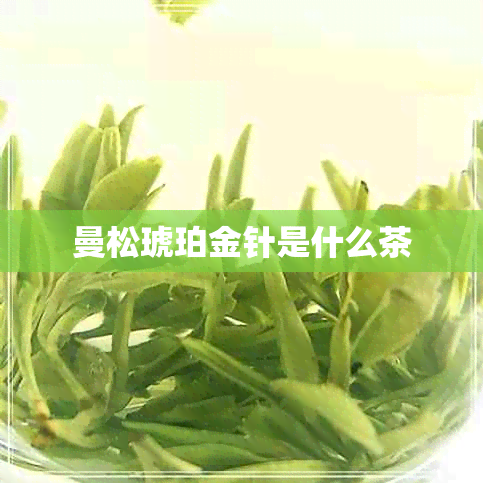 曼松琥珀金针是什么茶