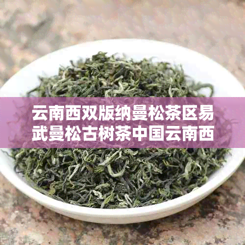 云南西双版纳曼松茶区易武曼松古树茶中国云南西双版纳曼撒茶叶