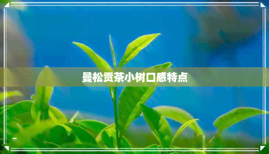 曼松贡茶小树口感特点