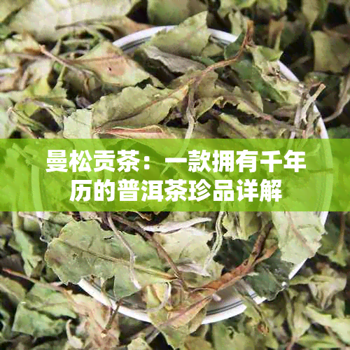 曼松贡茶：一款拥有千年历的普洱茶珍品详解