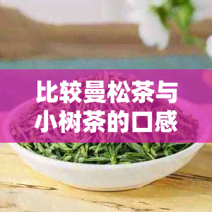 比较曼松茶与小树茶的口感和品质：哪个更受欢迎？