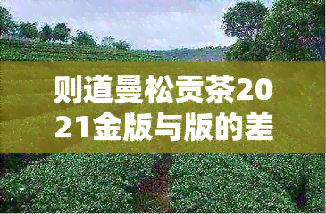 则道曼松贡茶2021金版与版的差异解析