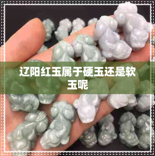 辽阳红玉属于硬玉还是软玉呢