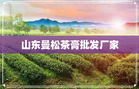 山东曼松茶膏批发厂家