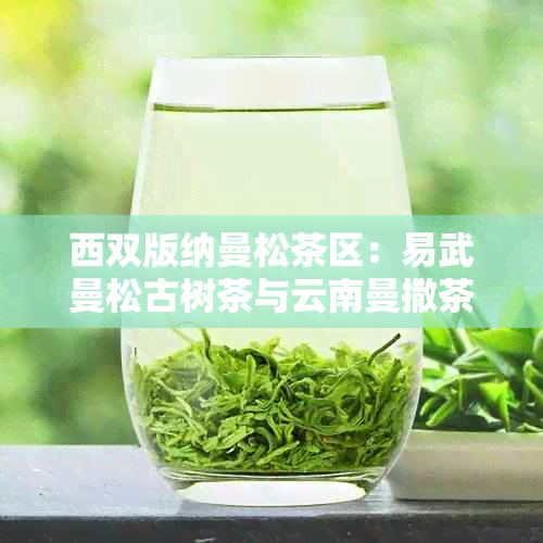 西双版纳曼松茶区：易武曼松古树茶与云南曼撒茶叶的精选佳品