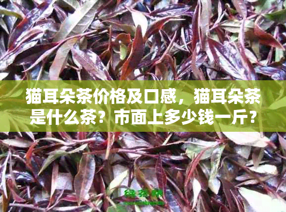 猫耳朵茶价格及口感，猫耳朵茶是什么茶？市面上多少钱一斤？