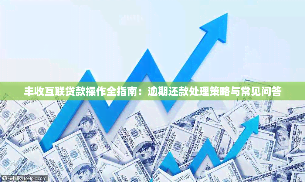 丰收互联贷款操作全指南：逾期还款处理策略与常见问答