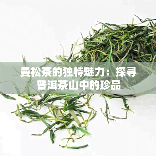 曼松茶的独特魅力：探寻普洱茶山中的珍品