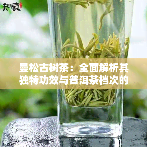 曼松古树茶：全面解析其独特功效与普洱茶档次的关联