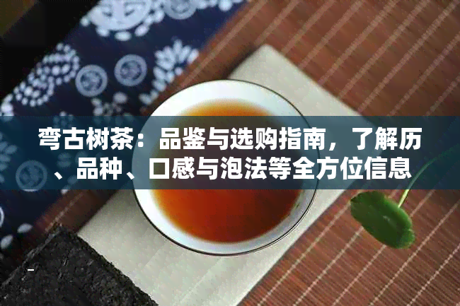 弯古树茶：品鉴与选购指南，了解历、品种、口感与泡法等全方位信息