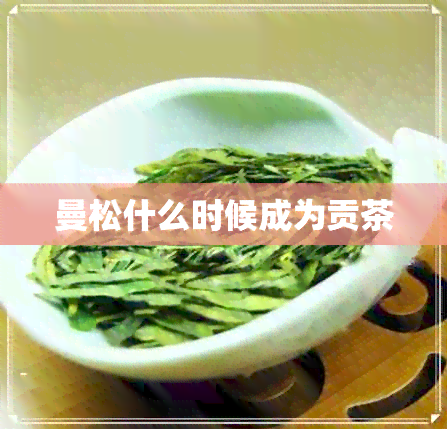 曼松什么时候成为贡茶