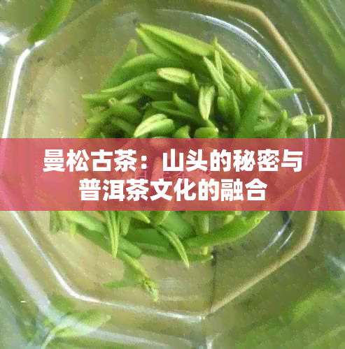 曼松古茶：山头的秘密与普洱茶文化的融合