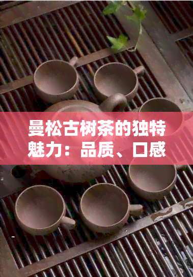 曼松古树茶的独特魅力：品质、口感、功效与泡法全方位解析