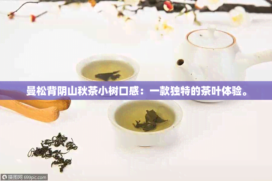 曼松背阴山秋茶小树口感：一款独特的茶叶体验。