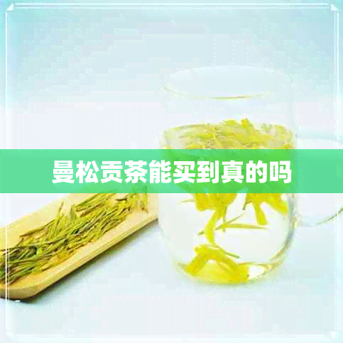 曼松贡茶能买到真的吗