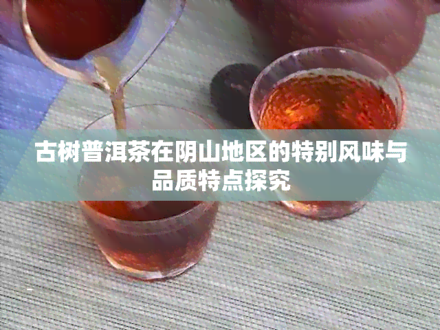 古树普洱茶在阴山地区的特别风味与品质特点探究