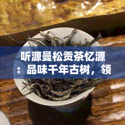 听源曼松贡茶忆源：品味千年古树，领略茶文化精髓