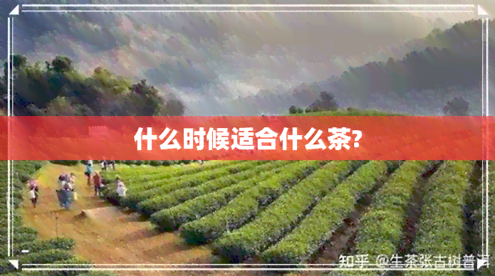 什么时候适合什么茶?