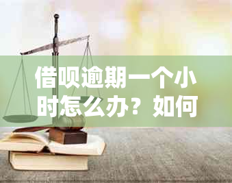 借呗逾期一个小时怎么办？如何尽快解决逾期问题并恢复信用？