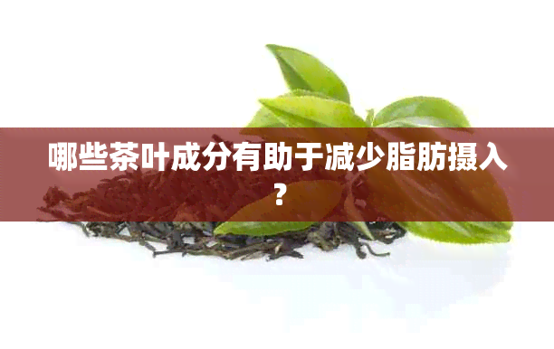 哪些茶叶成分有助于减少脂肪摄入？