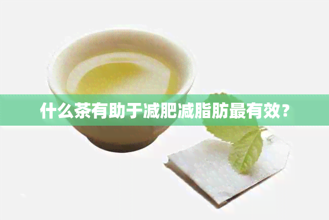 什么茶有助于减肥减脂肪最有效？