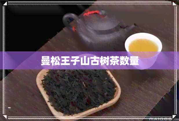 曼松王子山古树茶数量