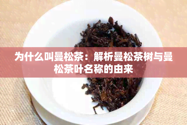 为什么叫曼松茶：解析曼松茶树与曼松茶叶名称的由来