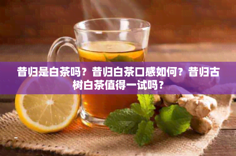 昔归是白茶吗？昔归白茶口感如何？昔归古树白茶值得一试吗？