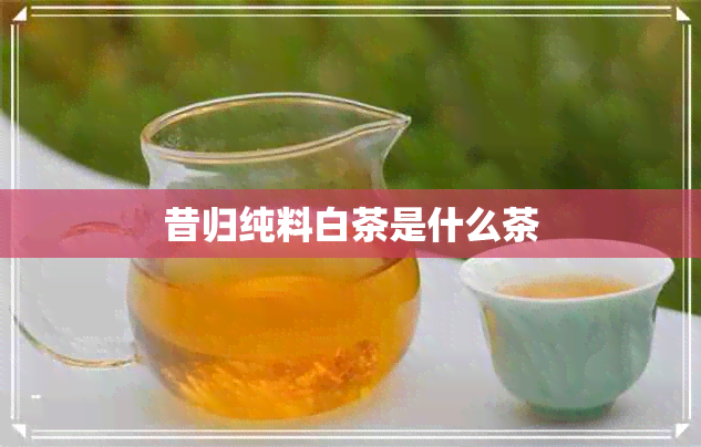 昔归纯料白茶是什么茶