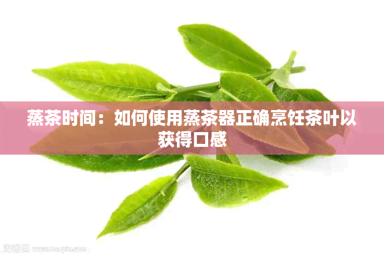 蒸茶时间：如何使用蒸茶器正确烹饪茶叶以获得口感