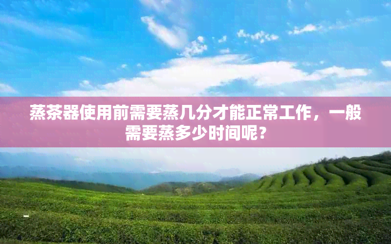 蒸茶器使用前需要蒸几分才能正常工作，一般需要蒸多少时间呢？