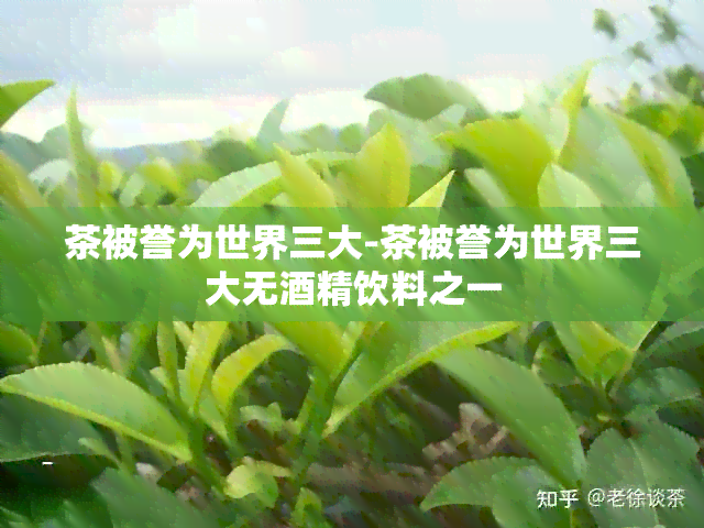 茶被誉为世界三大-茶被誉为世界三大无精饮料之一