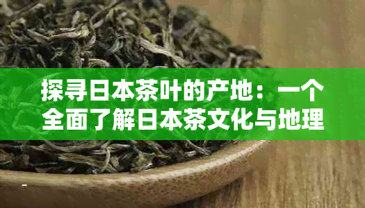 探寻茶叶的产地：一个全面了解茶文化与地理分布的指南