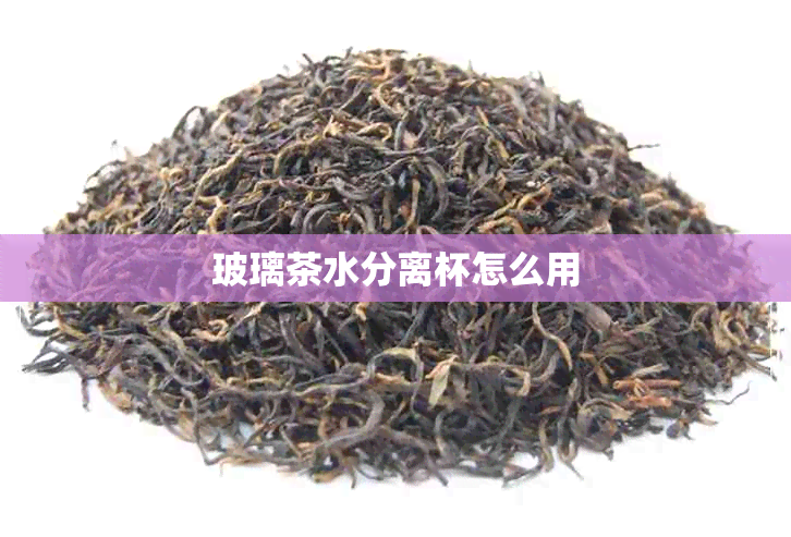 玻璃茶水分离杯怎么用