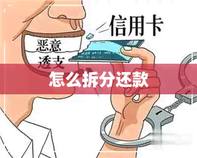 怎么拆分还款