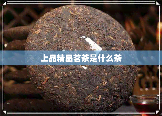 上品精品茗茶是什么茶