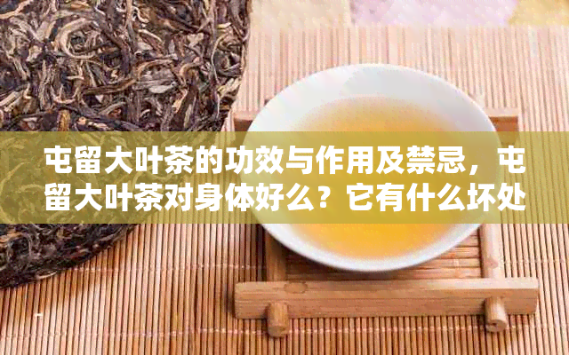 屯留大叶茶的功效与作用及禁忌，屯留大叶茶对身体好么？它有什么坏处？