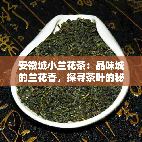 安徽城小兰花茶：品味城的兰花香，探寻茶叶的秘密