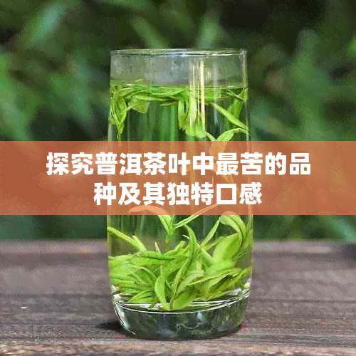 探究普洱茶叶中最苦的品种及其独特口感