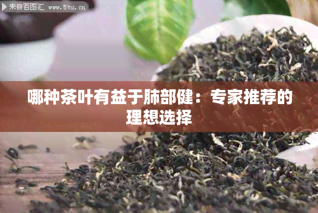 哪种茶叶有益于肺部健：专家推荐的理想选择