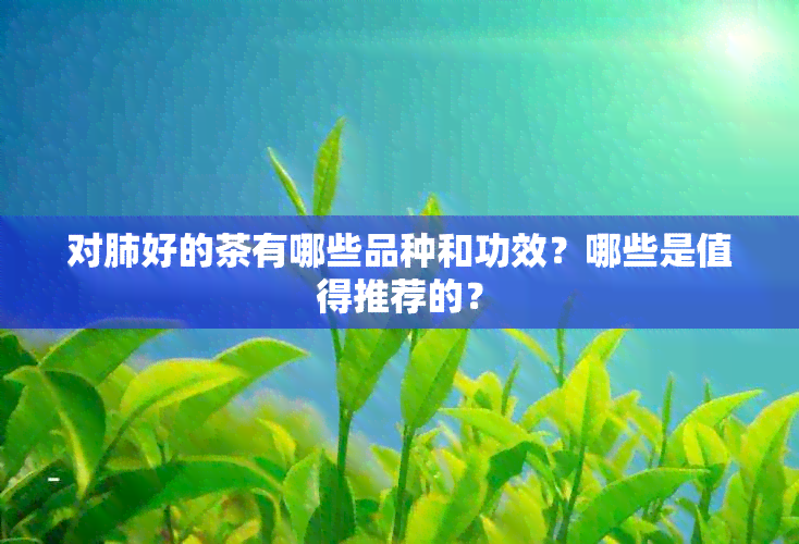 对肺好的茶有哪些品种和功效？哪些是值得推荐的？